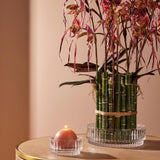Bol decorativ Righe, transparent, 30 cm - SIMONA'S COLLECTION Bol decorativ Righe, transparent, 30 cm - SIMONA'S COLLECTION