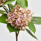 Floare decorativa hortensie Chic, roz, 80 cm - SIMONA'S COLLECTION Floare decorativa hortensie Chic, roz, 80 cm - SIMONA'S COLLECTION