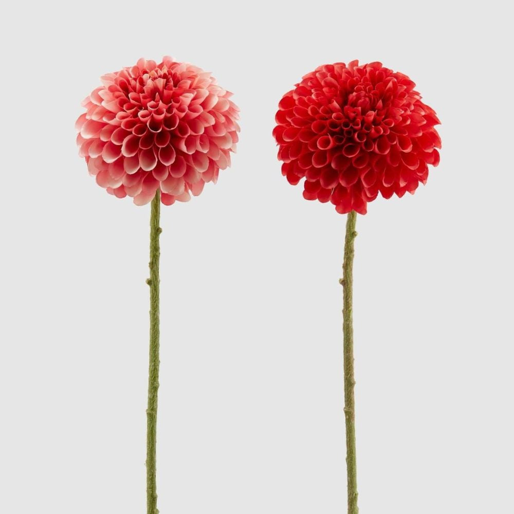 Floare decorativa Dahlia, roz, 65 cm - SIMONA'S COLLECTION Floare decorativa Dahlia, roz, 65 cm - SIMONA'S COLLECTION