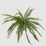 Ramura decorativa feriga, 40 cm - SIMONA'S COLLECTION Ramura decorativa feriga, 40 cm - SIMONA'S COLLECTION