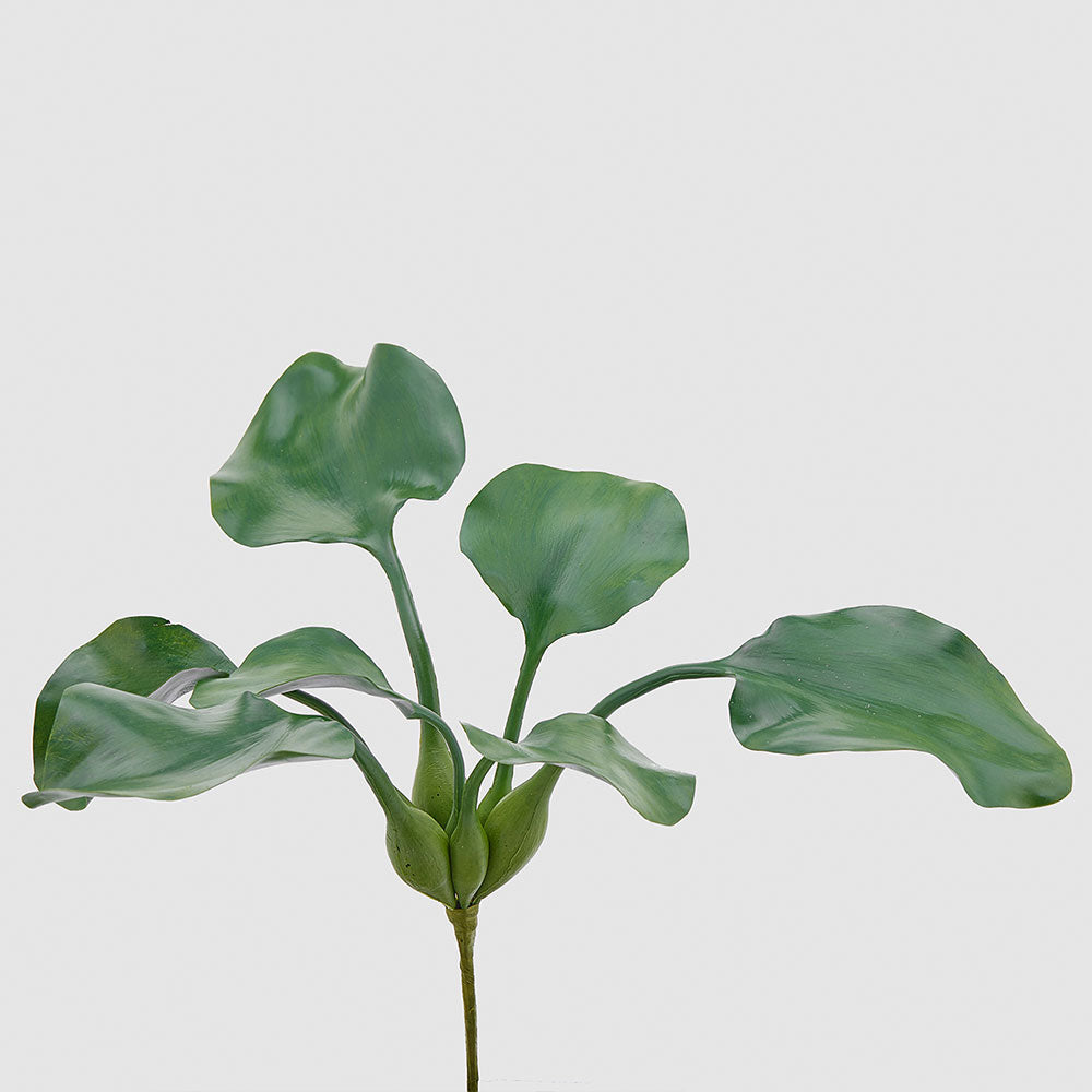 Ramura decorativa cu frunze Giacinto, verde, 30 cm - SIMONA'S COLLECTION Ramura decorativa cu frunze Giacinto, verde, 30 cm - SIMONA'S COLLECTION