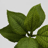 Ramura cu frunze Coleus, verde, 24 cm, - SIMONA'S COLLECTION Ramura cu frunze Coleus, verde, 24 cm, - SIMONA'S COLLECTION