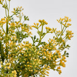 Planta decorativa Bosso, galben, 26 cm - SIMONA'S COLLECTION Planta decorativa Bosso, galben, 26 cm - SIMONA'S COLLECTION