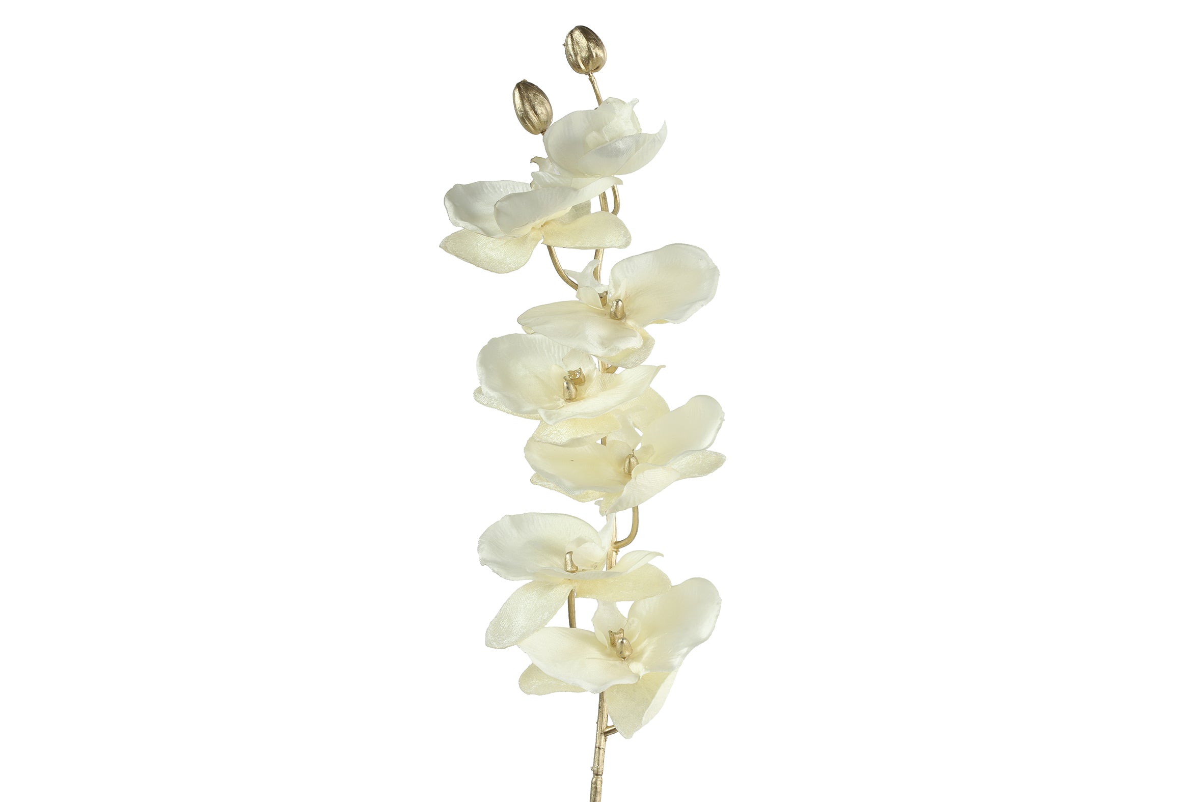 Floare decorativa Orhidee Phala, ivoar, 80 cm - SIMONA'S Christmas Floare decorativa Orhidee Phala, ivoar, 80 cm - SIMONA'S Christmas