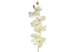 Floare decorativa Orhidee Phala, ivoar, 80 cm - SIMONA'S Christmas Floare decorativa Orhidee Phala, ivoar, 80 cm - SIMONA'S Christmas