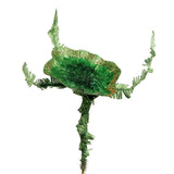 Ramura decorativa nufar, verde/auriu, 69 cm - SIMONA'S Christmas Ramura decorativa nufar, verde/auriu, 69 cm - SIMONA'S Christmas