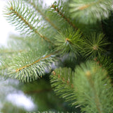 Brad artificial Glencoe, verde, 274 cm - SIMONA'S CHRISTMAS Brad artificial Glencoe, verde, 274 cm - SIMONA'S CHRISTMAS