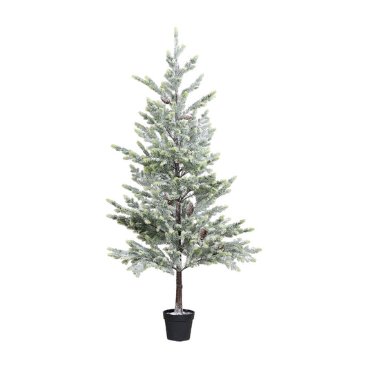 Brad inzapezit in ghiveci Noble, verde, 210 cm - SIMONA'S CHRISTMAS