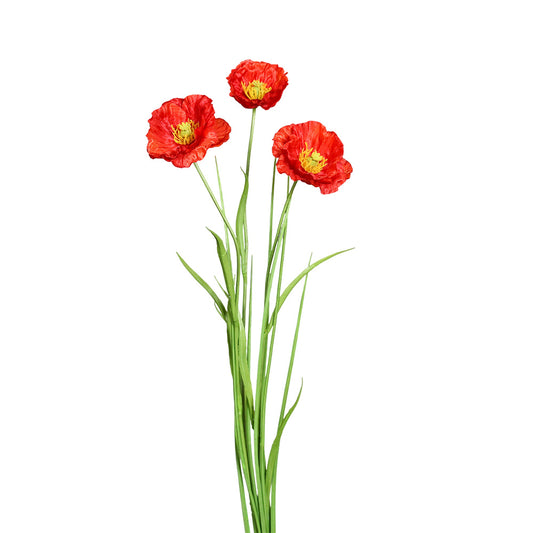 Buchet 3 maci, rosu, 68 cm - SIMONA'S COLLECTION