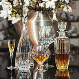 Pahar whisky Old Fashion, 280 ml, Fantasy by Gerald Gulotta - VISTA ALEGRE Pahar whisky Old Fashion, 280 ml, Fantasy by Gerald Gulotta - VISTA ALEGRE