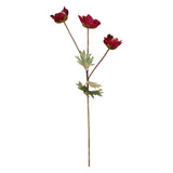 Floare decorativa Anemone, burgundy, 53 cm, Atonietta - SIMONA'S COLLECTION Floare decorativa Anemone, burgundy, 53 cm, Atonietta - SIMONA'S COLLECTION
