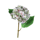 Floare decorativa Hortensia, roz/verde, 52 cm - SIMONA'S COLLECTION Floare decorativa Hortensia, roz/verde, 52 cm - SIMONA'S COLLECTION