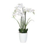 Floare decorativa in ghiveci alb, Orhidee Phalaenopsis, 120 cm - SIMONA'S COLLECTION Floare decorativa in ghiveci alb, Orhidee Phalaenopsis, 120 cm - SIMONA'S COLLECTION