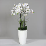 Floare decorativa in ghiveci alb, Orhidee Phalaenopsis, 130 cm - SIMONA'S COLLECTION Floare decorativa in ghiveci alb, Orhidee Phalaenopsis, 130 cm - SIMONA'S COLLECTION
