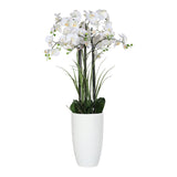 Floare decorativa in ghiveci alb, Orhidee Phalaenopsis, 130 cm - SIMONA'S COLLECTION Floare decorativa in ghiveci alb, Orhidee Phalaenopsis, 130 cm - SIMONA'S COLLECTION