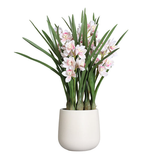 Floare decorativa in ghiveci crem, Orhidee Cymbidium, 107 cm - SIMONA'S COLLECTION