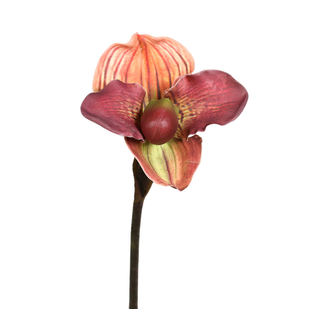 Floare decorativa Orhidee Lady's slipper, piersica, 50 cm - SIMONA'S COLLECTION Floare decorativa Orhidee Lady's slipper, piersica, 50 cm - SIMONA'S COLLECTION