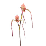 Floare decorativa Orhidee Lady's slipper, piersica, 80 cm - SIMONA'S COLLECTION Floare decorativa Orhidee Lady's slipper, piersica, 80 cm - SIMONA'S COLLECTION