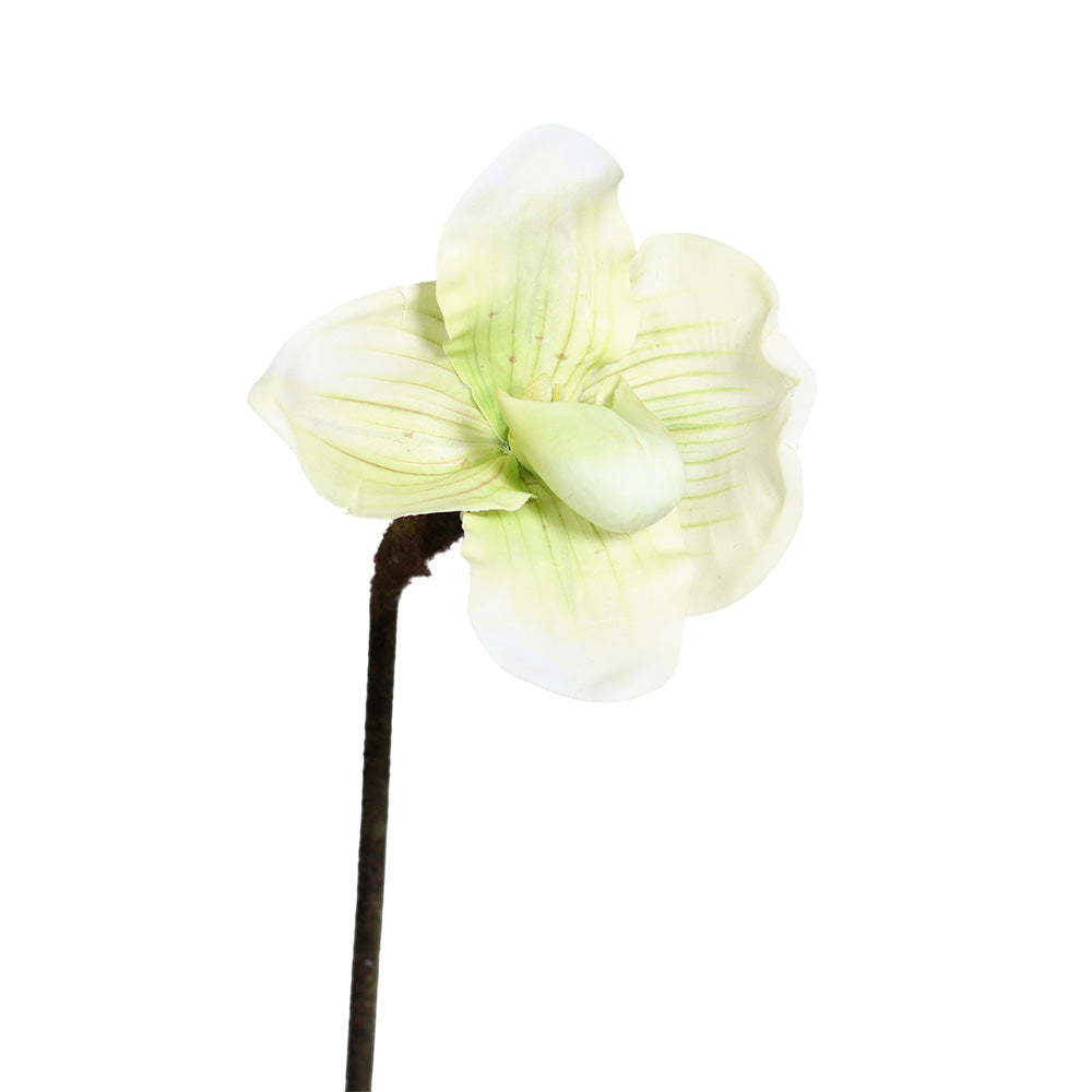 Floare decorativa Orhidee Lady's slipper, verde, 50 cm - SIMONA'S COLLECTION Floare decorativa Orhidee Lady's slipper, verde, 50 cm - SIMONA'S COLLECTION