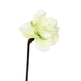 Floare decorativa Orhidee Lady's slipper, verde, 50 cm - SIMONA'S COLLECTION Floare decorativa Orhidee Lady's slipper, verde, 50 cm - SIMONA'S COLLECTION