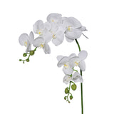 Floare decorativa Orhidee Phalaenopis, alb, 97 cm - SIMONA'S COLLECTION Floare decorativa Orhidee Phalaenopis, alb, 97 cm - SIMONA'S COLLECTION