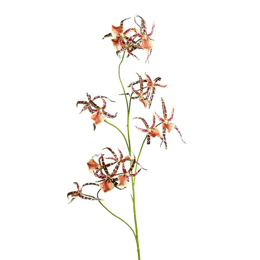 Floare decorativa Orhidee Spider, maro, 105 cm - SIMONA'S COLLECTION