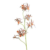 Floare decorativa Orhidee Spider, maro, 105 cm - SIMONA'S COLLECTION Floare decorativa Orhidee Spider, maro, 105 cm - SIMONA'S COLLECTION