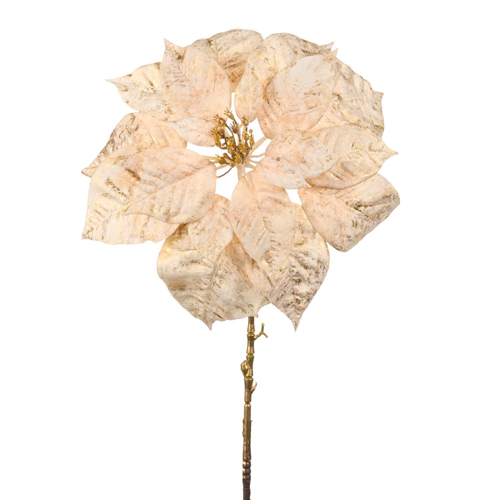 Floare decorativa pentru brad, Craciunita Symphonie, crem/auriu, 81 cm - SIMONA'S CHRISTMAS Floare decorativa pentru brad, Craciunita Symphonie, crem/auriu, 81 cm - SIMONA'S CHRISTMAS