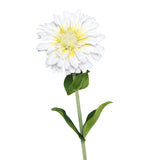 Floare decorativa Zinnia, crem, 55 cm - SIMONA'S COLLECTION Floare decorativa Zinnia, crem, 55 cm - SIMONA'S COLLECTION