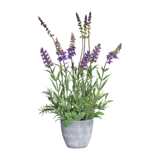 Lavanda in ghiveci, mov, 35 cm - SIMONA'S COLLECTION
