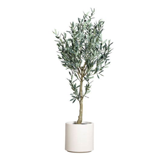 Planta decorativa Maslin in ghiveci crem - SIMONA'S COLLECTION
