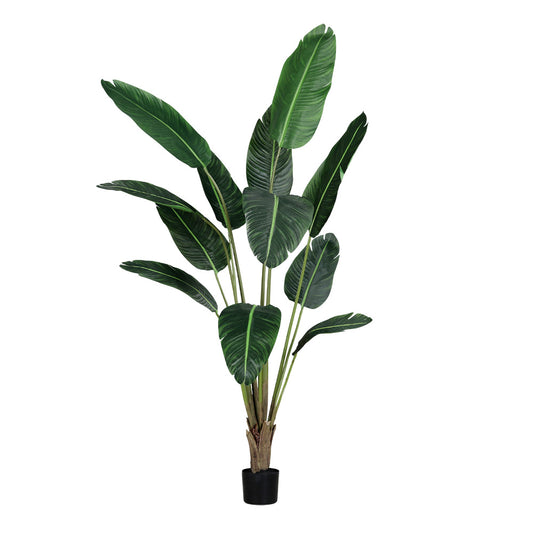 Planta decorativa Strelizia in ghiveci, verde, 190 cm - SIMONA'S COLLECTION