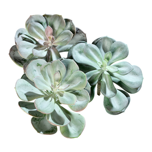 Planta decorativa Suculenta, verde, 19 cm - SIMONA'S COLLECTION