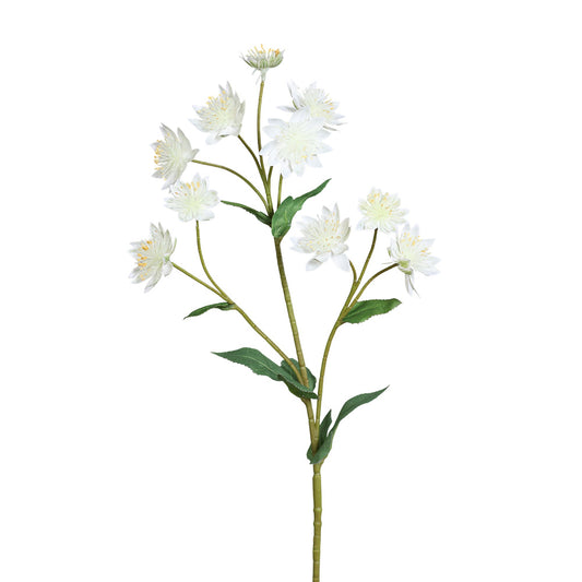 Ramura decorativa Astrantia, alb, 61 cm - SIMONA'S COLLECTION