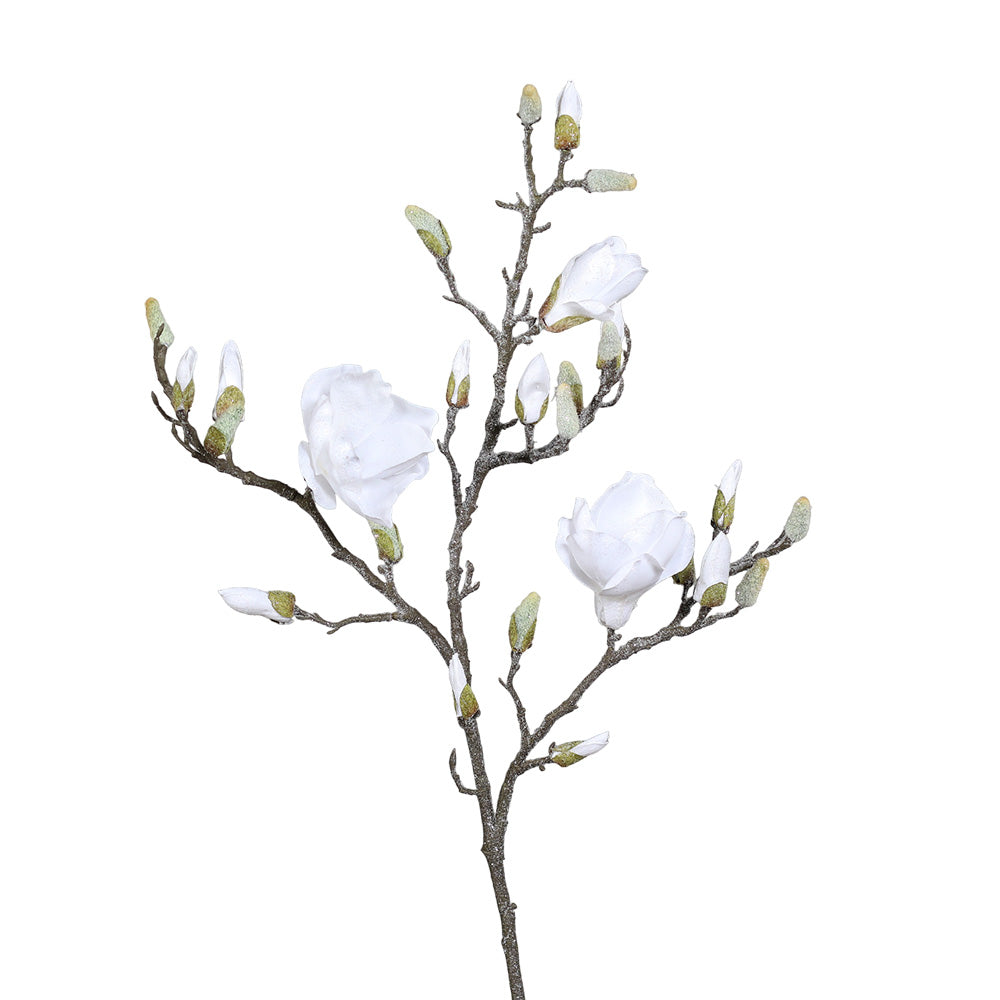 Simona's Luxury at Home