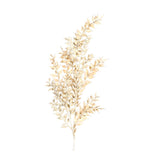 Ramura decorativa Ruscus, crem, 93 cm - SIMONA'S COLLECTION Ramura decorativa Ruscus, crem, 93 cm - SIMONA'S COLLECTION