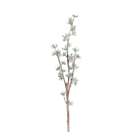 Ramura decorativa Seminte Eucalipt, verde, 75 cm - SIMONA'S COLLECTION