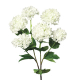 Ramura decorativa Snowball, crem, 60 cm - SIMONA'S COLLECTION Ramura decorativa Snowball, crem, 60 cm - SIMONA'S COLLECTION