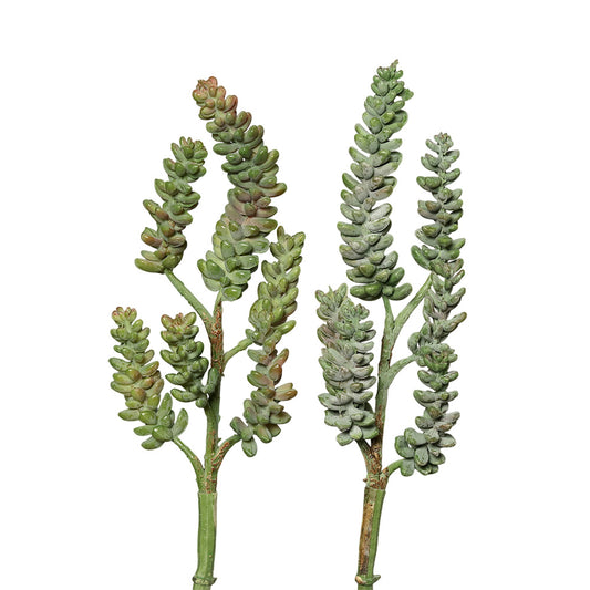 Ramura decorativa Suculenta, verde, 33 cm - SIMONA'S COLLECTION