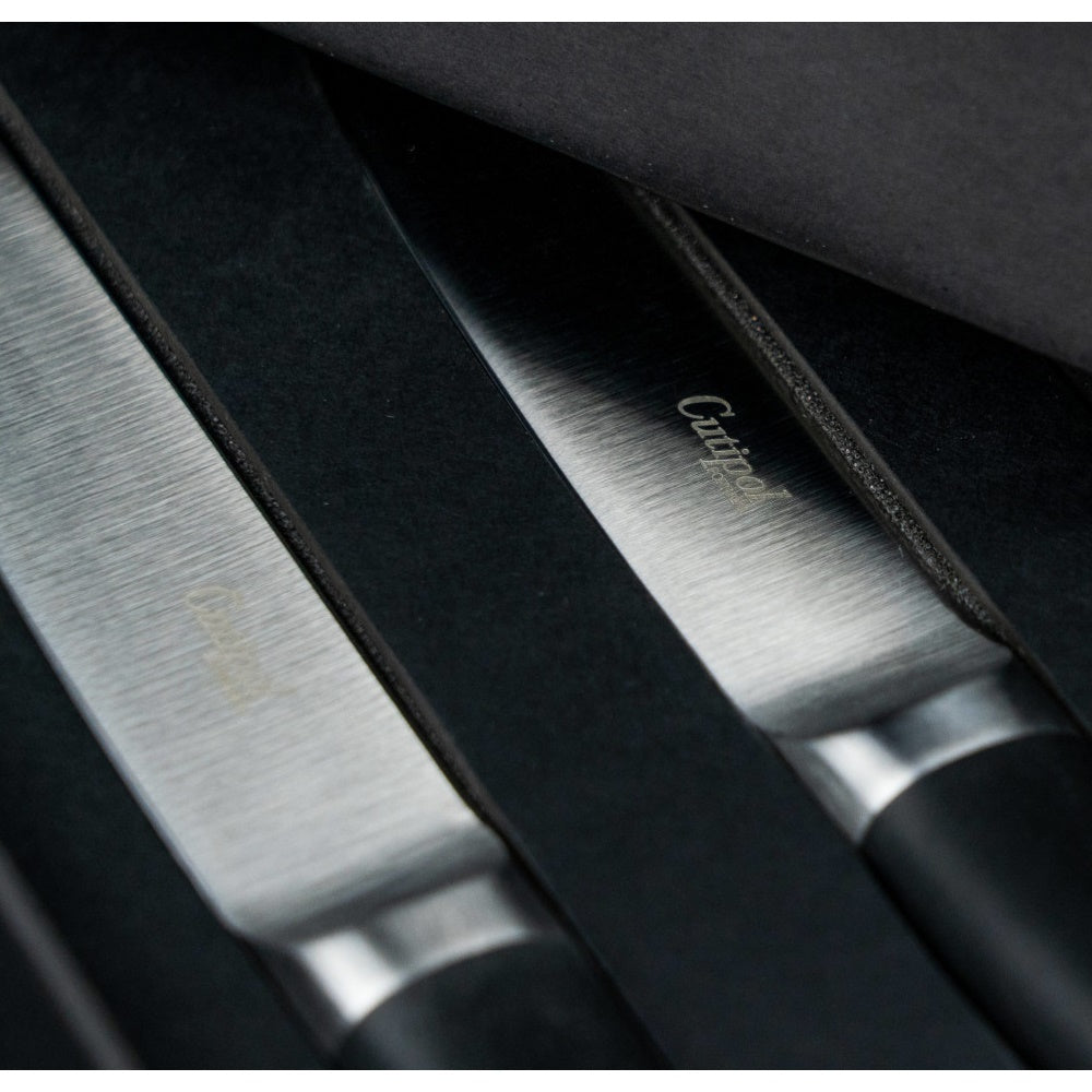 Set 2 cutite petru carne, din otel inoxidabil, Rib - CUTIPOL Set 2 cutite petru carne, din otel inoxidabil, Rib - CUTIPOL