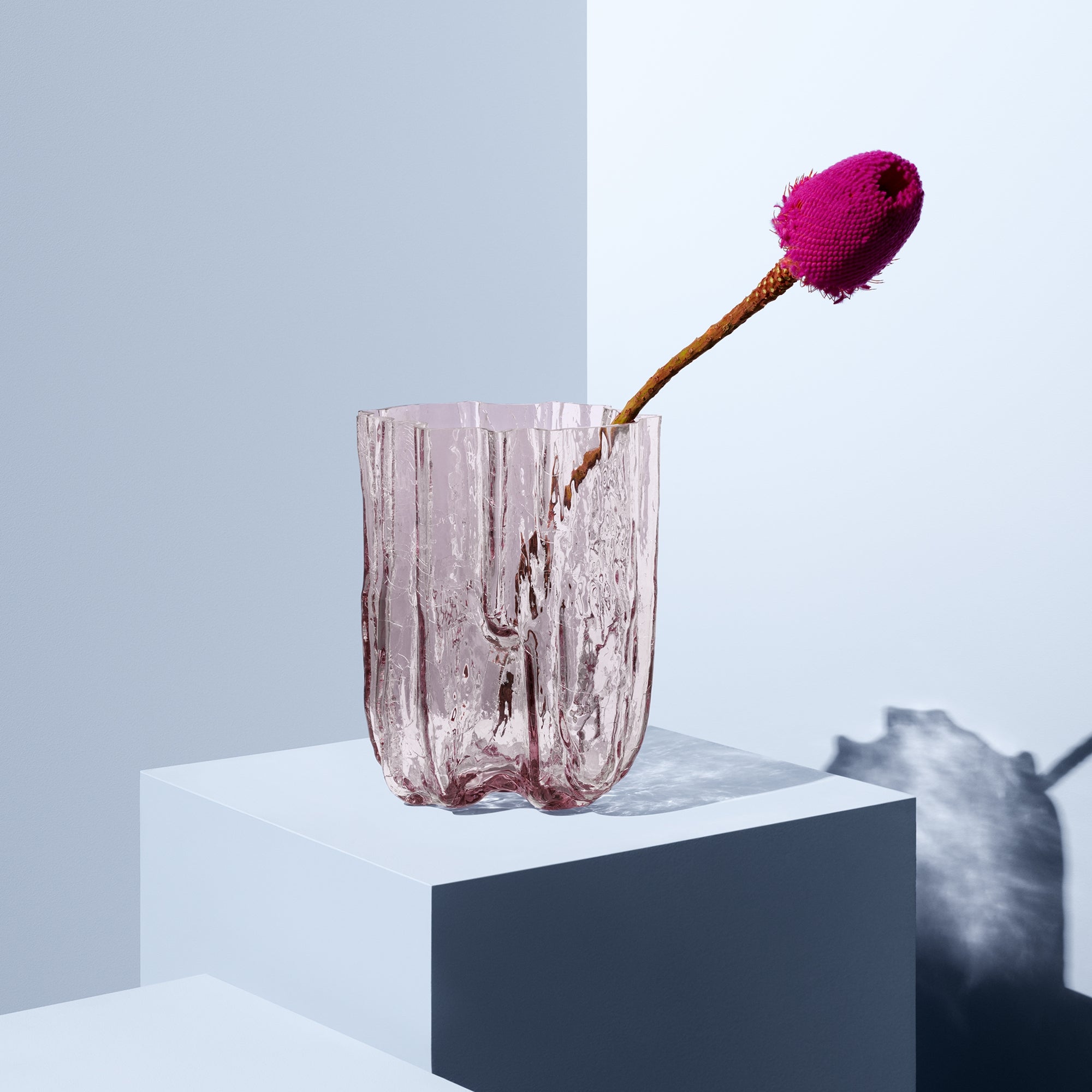 Vaza din sticla, Pink, 27 cm, Crackle by Asa Jungnelius - KOSTA BODA Vaza din sticla, Pink, 27 cm, Crackle by Asa Jungnelius - KOSTA BODA
