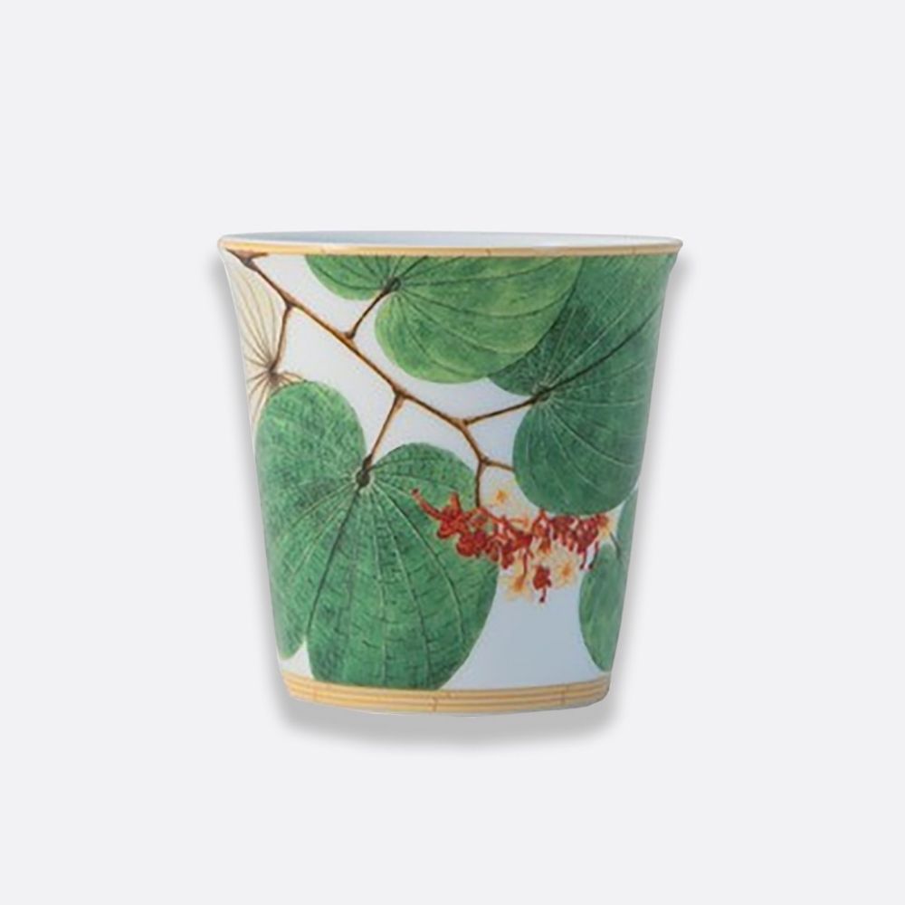 Set cadou - Pahar din portelan si lumanare, Jardin Indien - BERNARDAUD