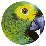 Farfurie de prezentare, Parrot, Olhar o Brasil by Chico Gouvea - VISTA ALEGRE