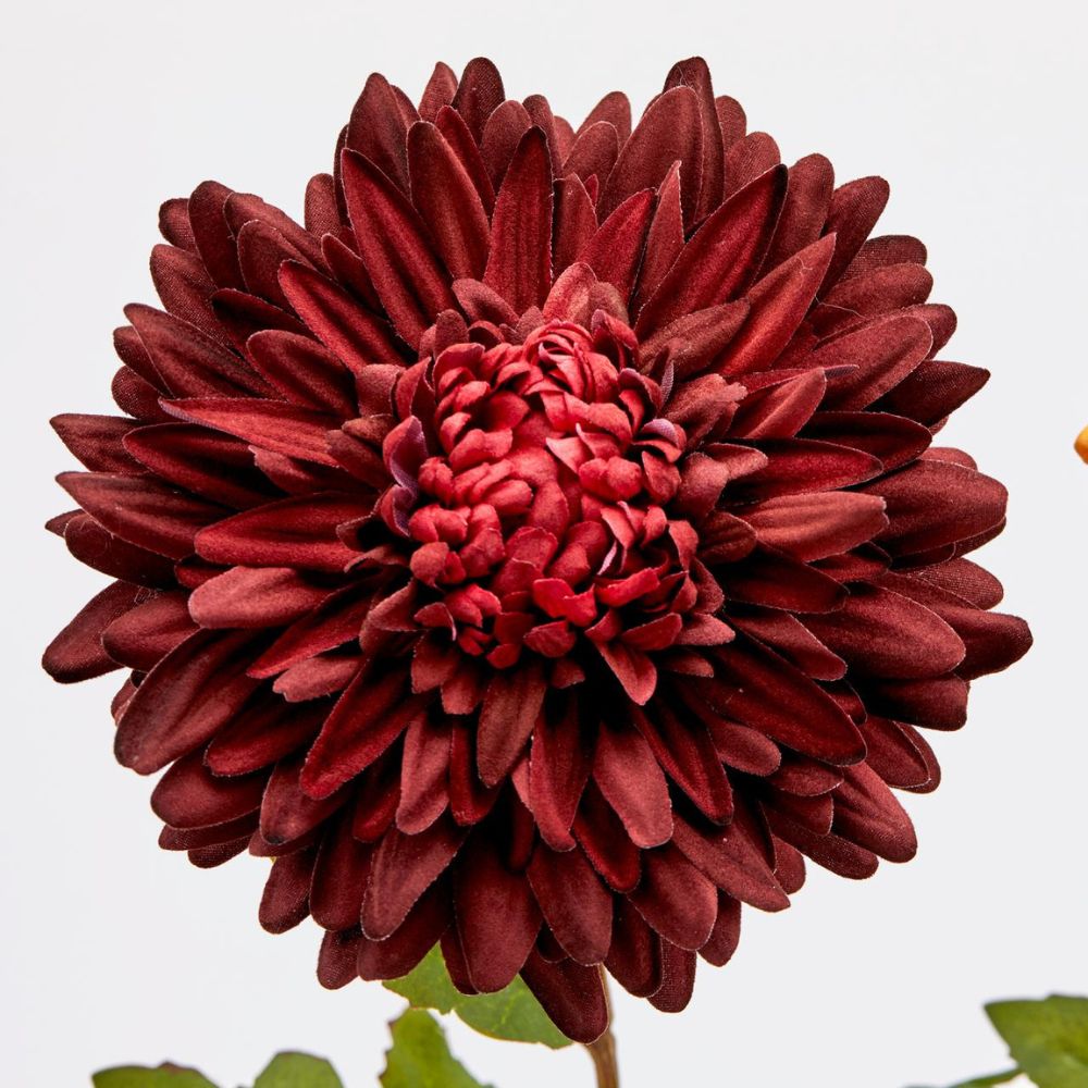 Floare decorativa Crisantemo Glory, galben/burgundy, 60 cm - SIMONA'S COLLECTION