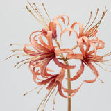 Ramura decorativa Lycoris, ruginiu, 73 cm - SIMONA'S Christmas