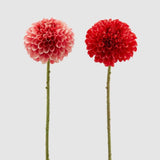 Floare decorativa Dahlia, roz, 65 cm - SIMONA'S COLLECTION