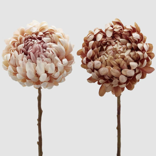 Floare decorativa Crizantema, sampanie, 65 cm - SIMONA's Christmas