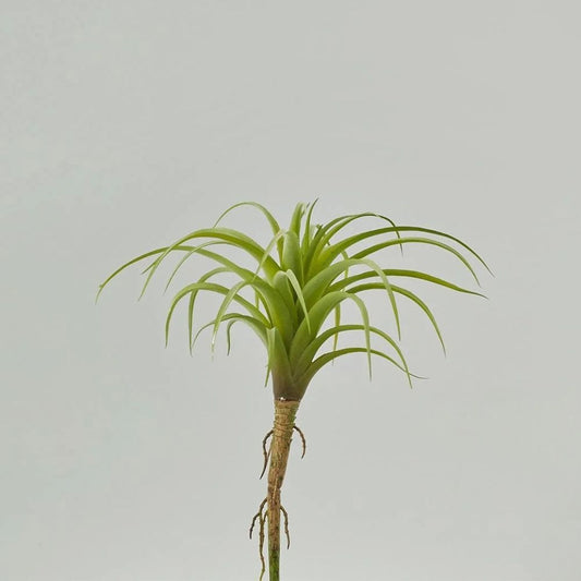 Ramura decorativa Tillandsia, verde, 18 cm - SIMONA'S COLLECTION