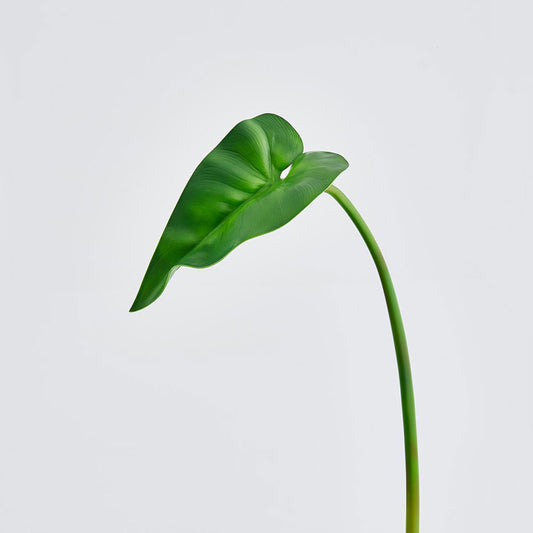 Frunza decorativa Calla, verde, 93 cm - SIMONA'S COLLECTION