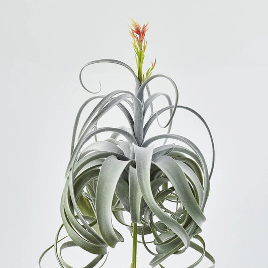 Floare decorativa Tillandsia Medusae, verde, 60 cm - SIMONA'S COLLECTION